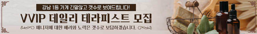 강남VVIP데일리 PC