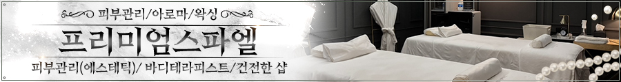 강남프리미엄스파엘(pc)