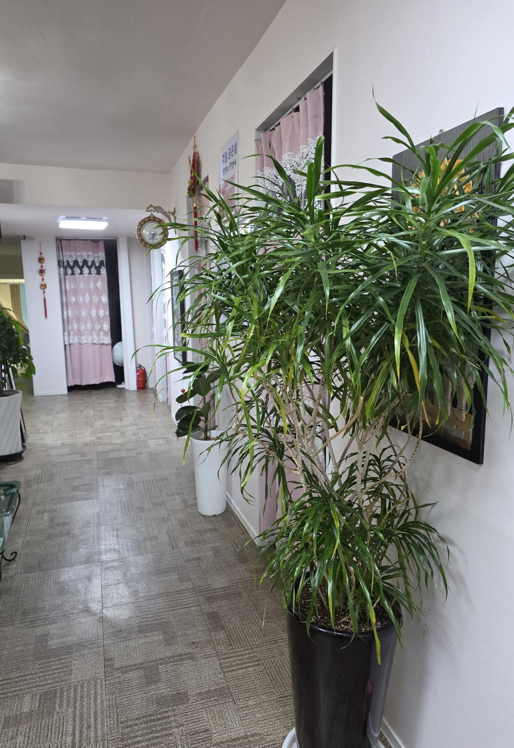 부산역 인근 최고 매물 매매합니다⭐유동인구 많아요⭐ㅣ부산 마사지샵매매, 부산 점포매매 #3