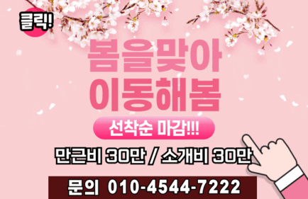 김포 구래동 ✨더명품스웨디시✨45분단일코스/개인대기실/소개비,만근비30만/파격인센티브✨…