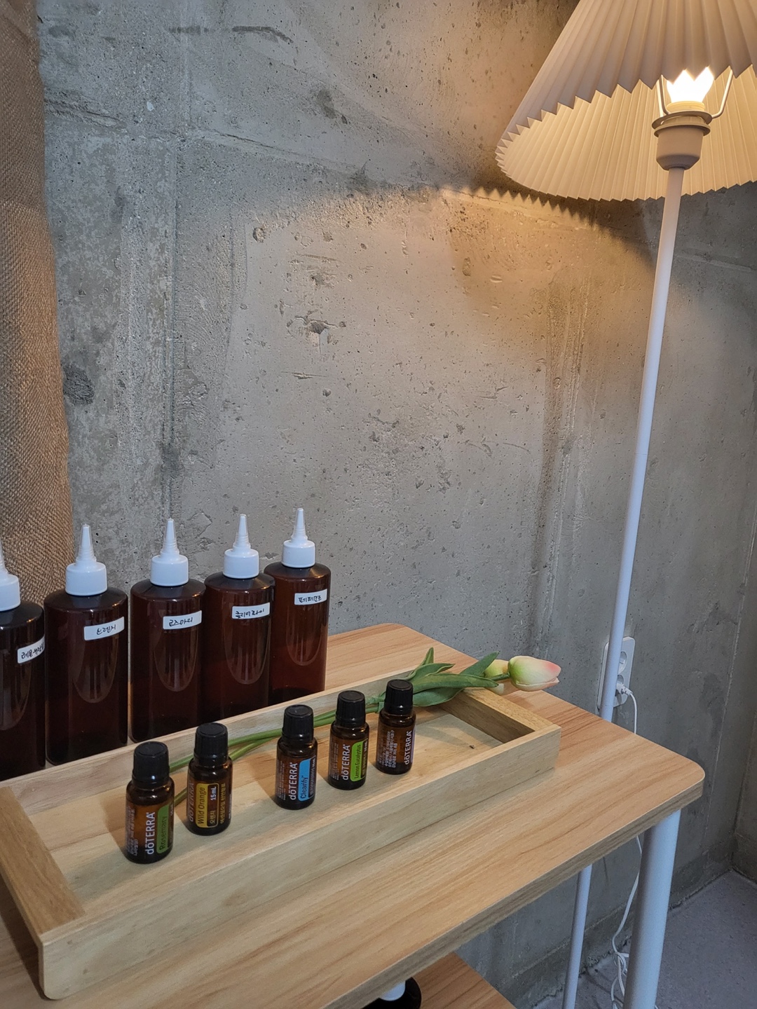광주정통테라피, 건전테라피,신규 릴렉싱 케어샵 세라티나에서 함께할 가족 찾아요 !! 마사지구인 #1