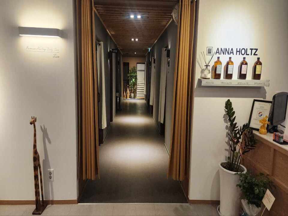 춘천 효자동 [티엔스웨디시] 관리사 모집 중 ✨업계 최고 대우✨초보 경력직 환영✨숙식 개인방 시설 완비✨페이 보장✨ ㅣ 춘천 마사지 구인 #2