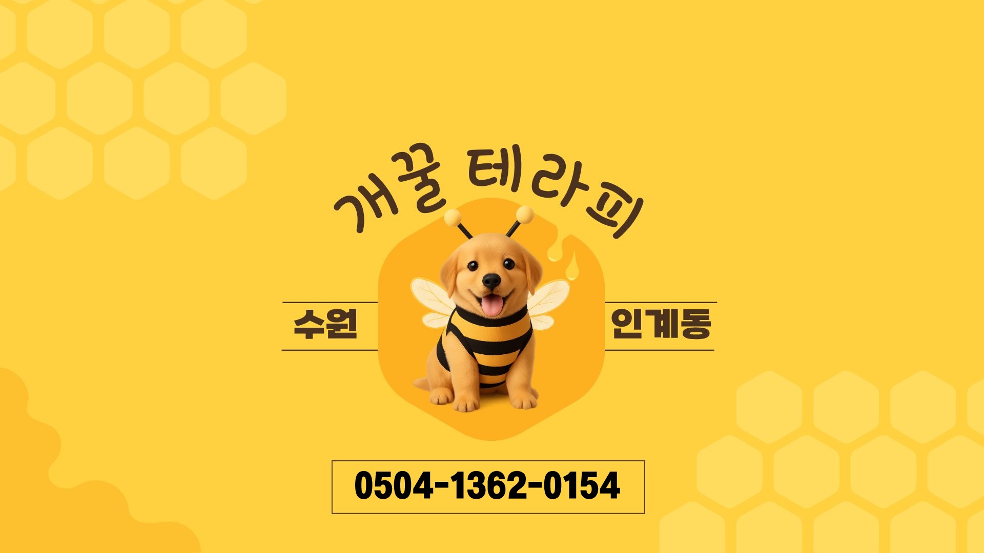 [수원] 개꿀테라피