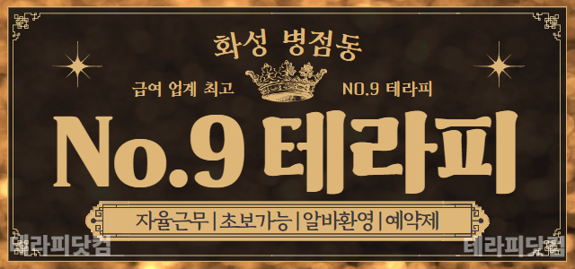병점 NO.9테라피 ☀️급여 업계 최고☀️신규 업소☀️근무 시간 협의☀️…