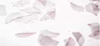 울산 삼산동 에이프릴에서(관리사&야간실장)모집합니다. [삼산동 에이프릴 마사지구인 공고…