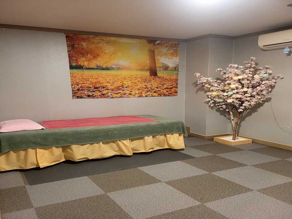 화성 향남읍 ✨강남스웨디시✨에서 함께할 관리사님 모집합니다.✨초보가능✨근무시간 협의✨자율근무✨ ㅣ화성 마사지구인 #3