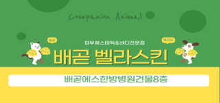 시흥배곧마사지구인)전문성 을 즐겁게 배우며 일하며 행복하게 직원을 소중히 생각하는 벨라…