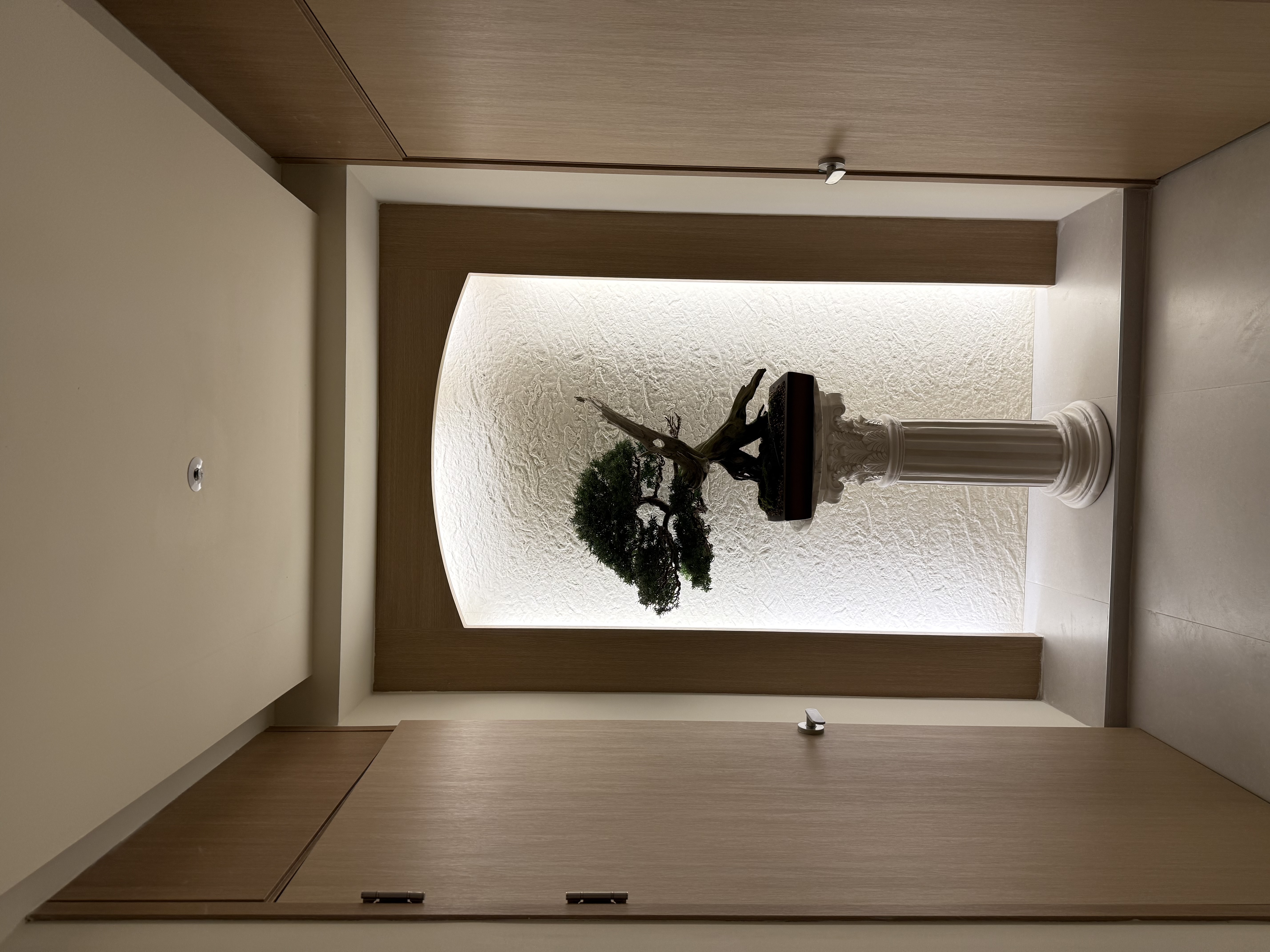 강남 초건전샵 [ 카스탈리아 ] 에서 관리사님을 모집합니다