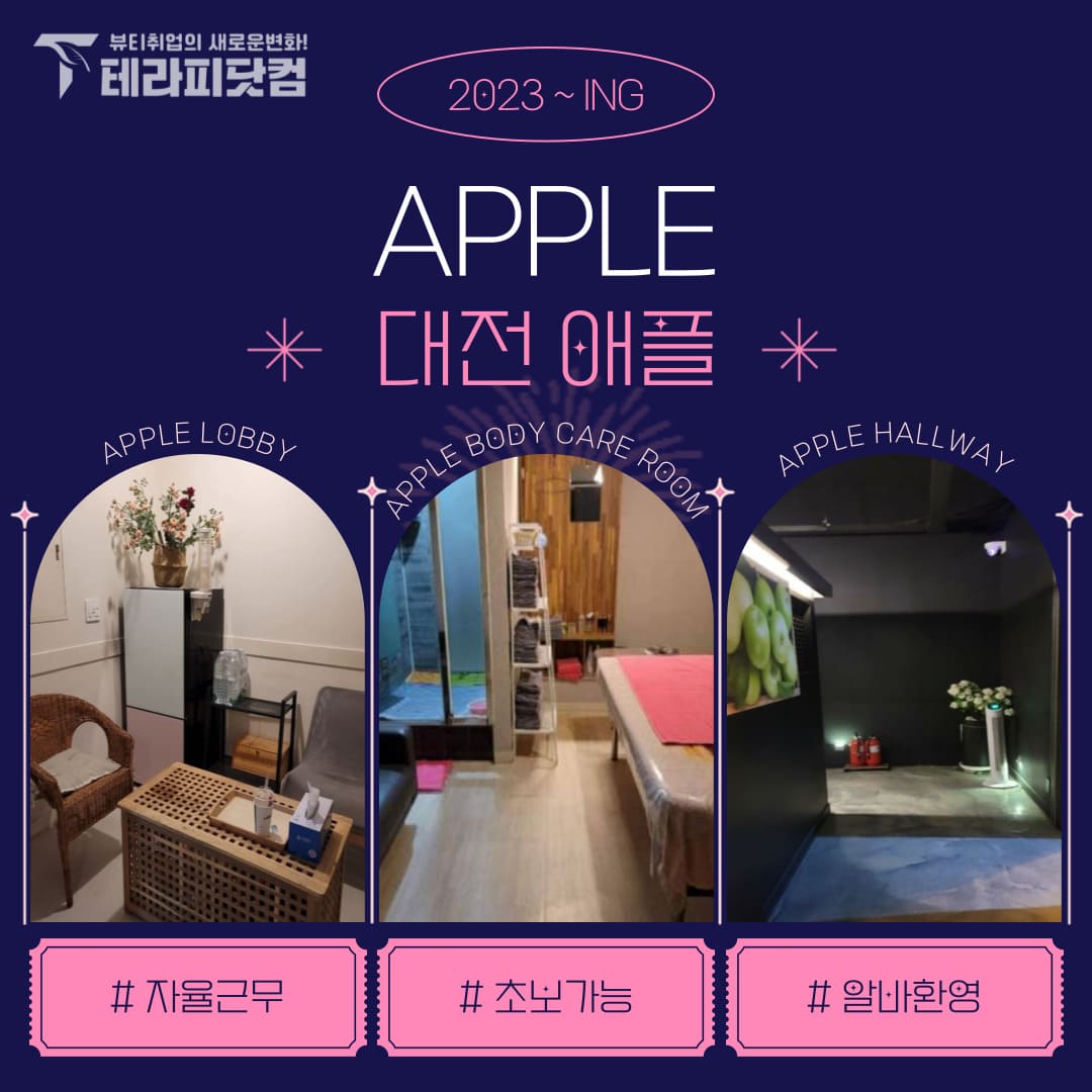 대전 둔산동 [애플] 마사지구인구직 인스타 포스팅