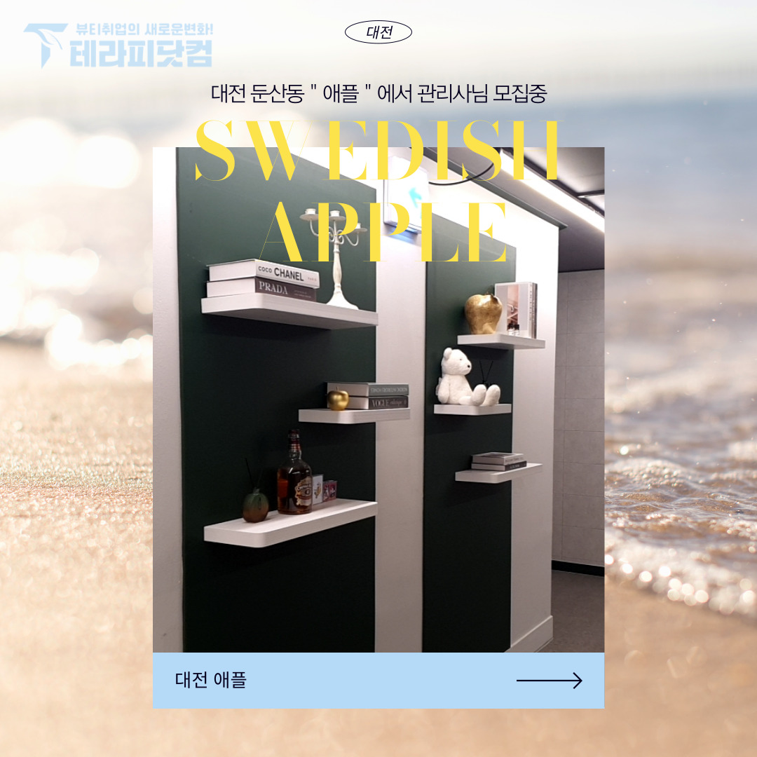 대전 둔산동 [애플] 마사지구인구직 인스타 포스팅