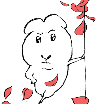 카카오 이모티콘